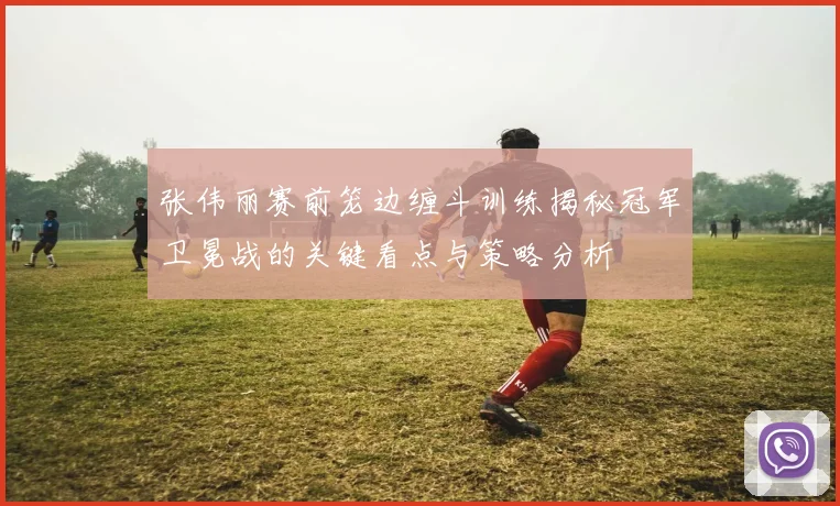 张伟丽赛前笼边缠斗训练揭秘冠军卫冕战的关键看点与策略分析