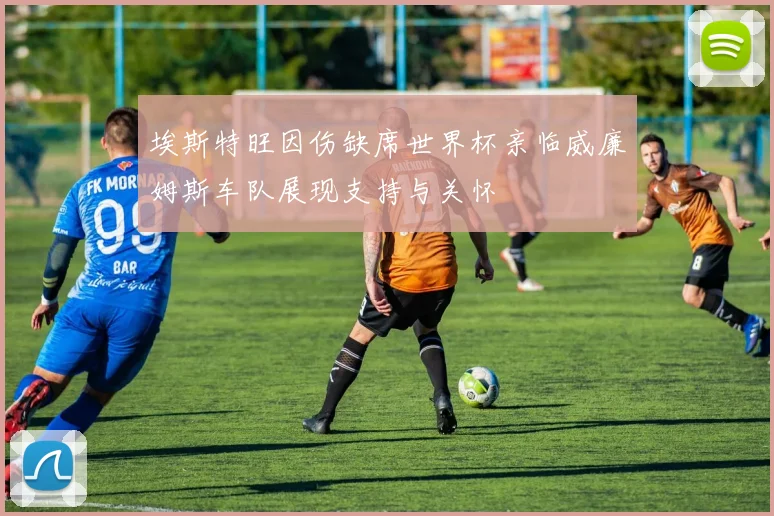埃斯特旺因伤缺席世界杯亲临威廉姆斯车队展现支持与关怀