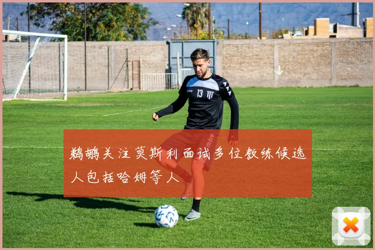 鹈鹕关注莫斯利面试多位教练候选人包括哈姆等人