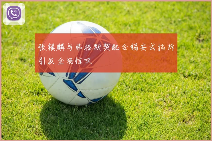 张镇麟与弗格默契配合锡安式挡拆引发全场惊叹